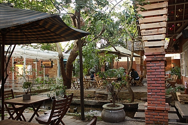 Cafe ROCK GARDEN