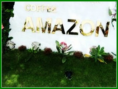 Coffee-Bar Amazon