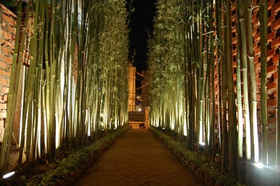 Cafe ALIGN - 10A Khúc Hạo, Hà Nội