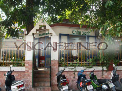 Cafe Chim Xanh