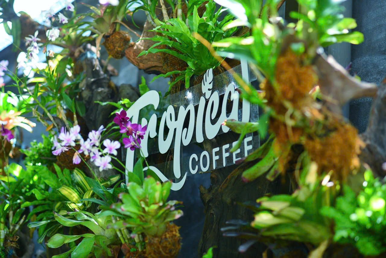 Tropical Coffee - Tam Kỳ